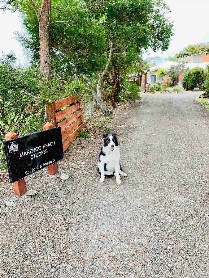 Marengo Beach Studios- Pet Friendly ภายนอก รูปภาพ